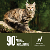 ORIJEN Tundra Cat Dry Food